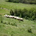 度假居 Stunning In Passignano With Pool 特拉西梅诺湖畔帕西尼亚诺