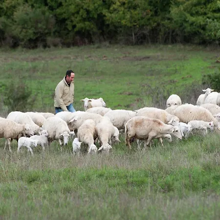 Stunning In Passignano With Pool Пассиньяно-суль-Тразимено