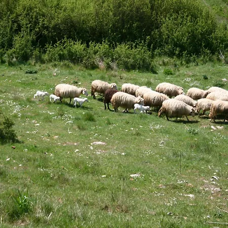 Stunning In Passignano With Pool * Пассиньяно-суль-Тразимено