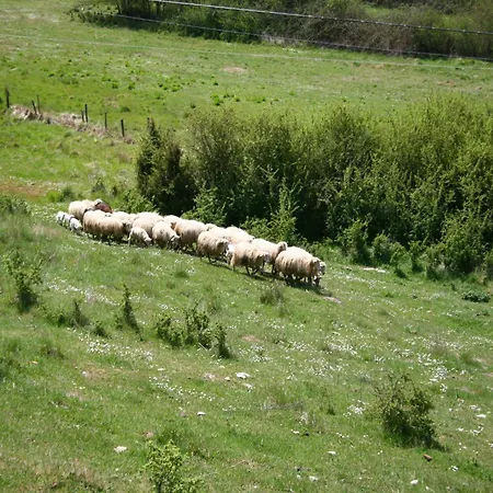 Stunning In Passignano With Pool *