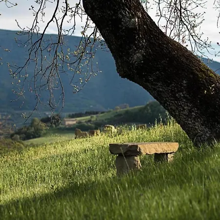 Stunning In Passignano With Pool Пассиньяно-суль-Тразимено