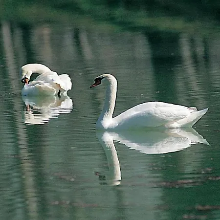 Дом отдыха Stunning In Passignano With Pool