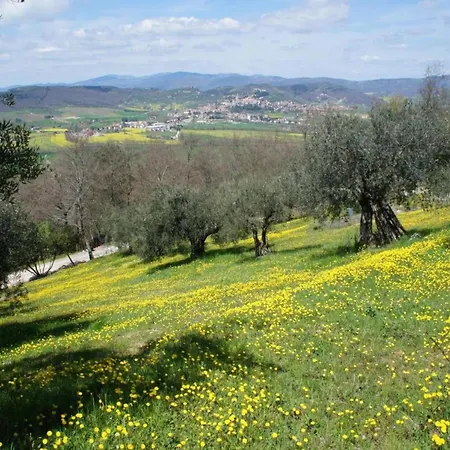 Σπίτι διακοπών Stunning In Passignano With Pool *