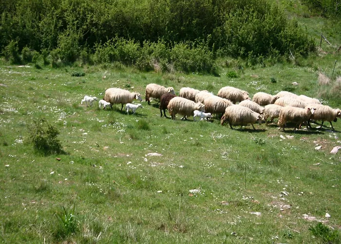 Stunning In Passignano With Pool * Passignano sul Trasimeno