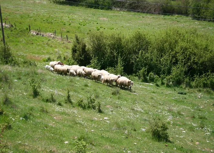 בית נופש Stunning In Passignano With Pool פסיניאנו סול טרסימנו