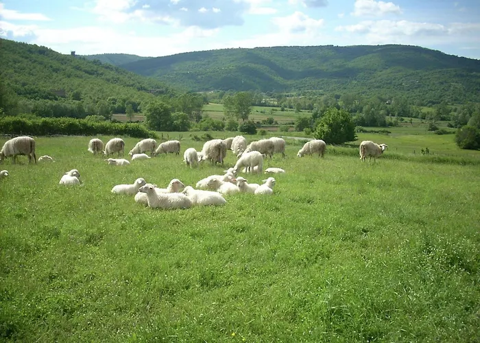 Stunning In Passignano With Pool * Passignano sul Trasimeno