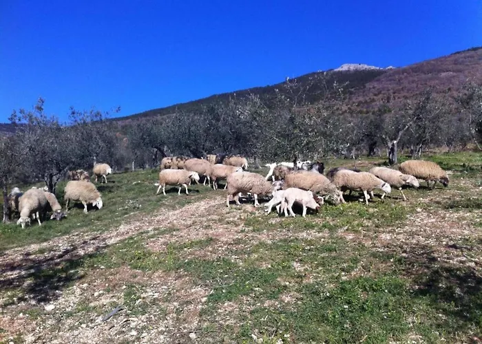Stunning In Passignano With Pool Holiday home Passignano sul Trasimeno