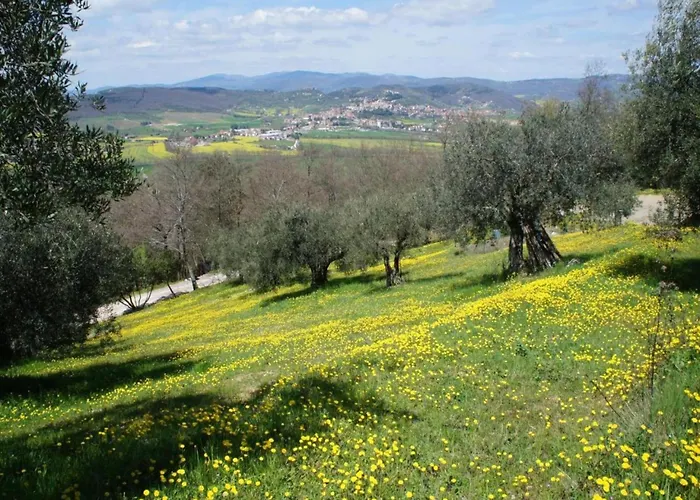 Holiday home Stunning In Passignano With Pool *